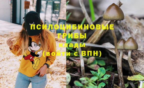 трава Абаза