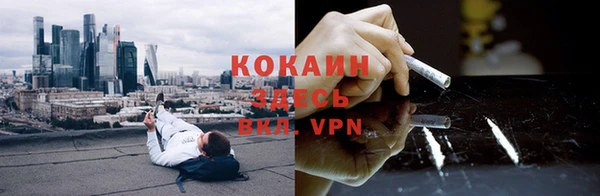 трава Абаза