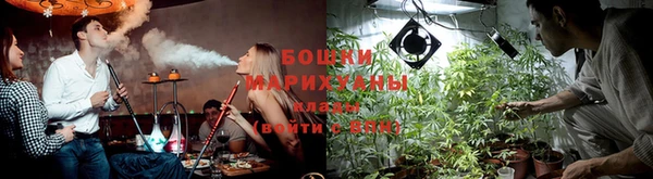 трава Абаза