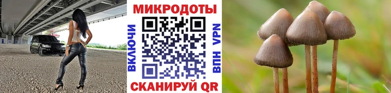ссылка на мегу ссылки  Суздаль  Псилоцибиновые грибы Psilocybe  сколько стоит 
